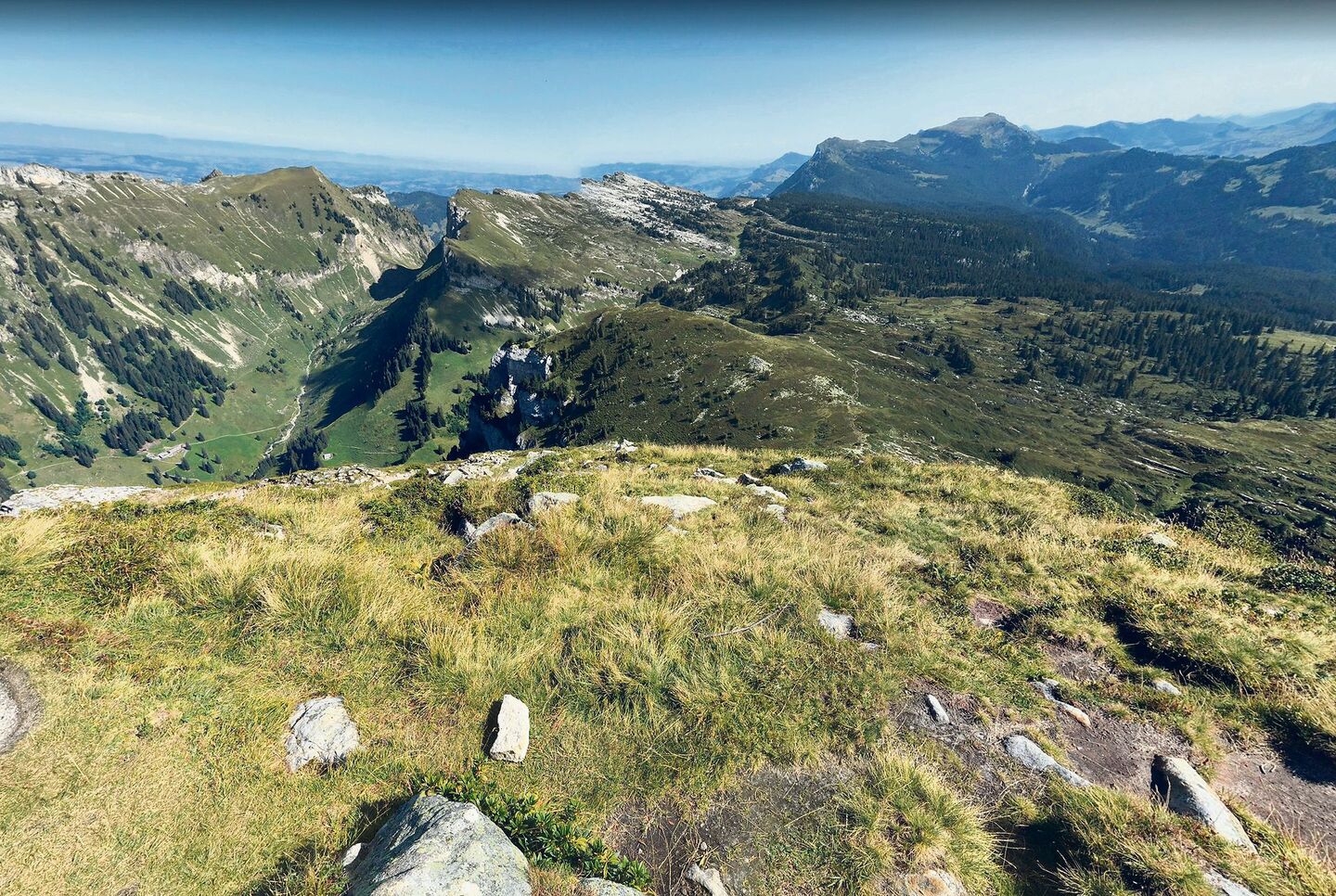 Das Gemmenalphorn liegt zwischen Habkern und dem Justistal im Berner Oberland. Hier soll ein Wolfsrudel mit sechs Tieren beobachtet worden sein.