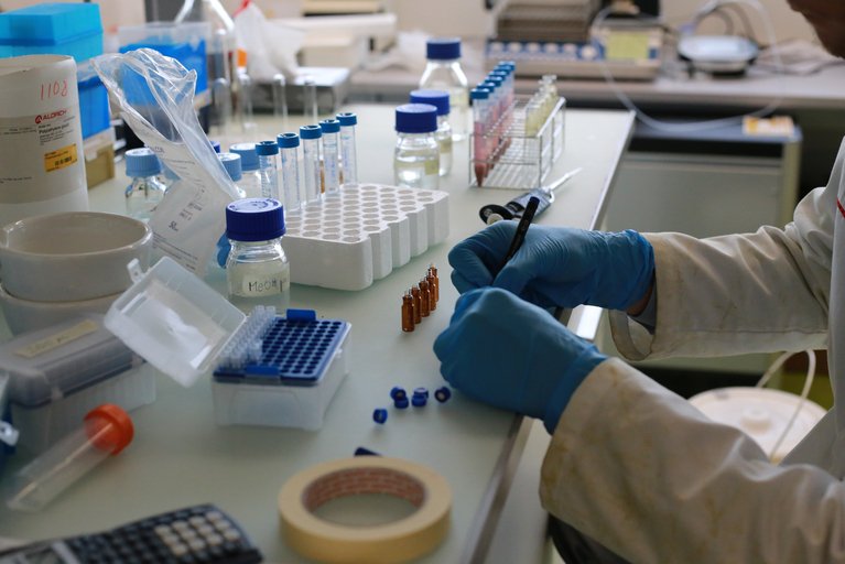 Seit 2005 gilt in der Schweiz das Gentech-Moratorium für den kommerziellen Anbau von gentechnisch veränderten Pflazen. Es läuft 2021 aus. Die Forschung, einschliesslich Feldversuche, ist von diesem Moratorium explizit ausgeschlossen. (Symbolbild, lid / mg)