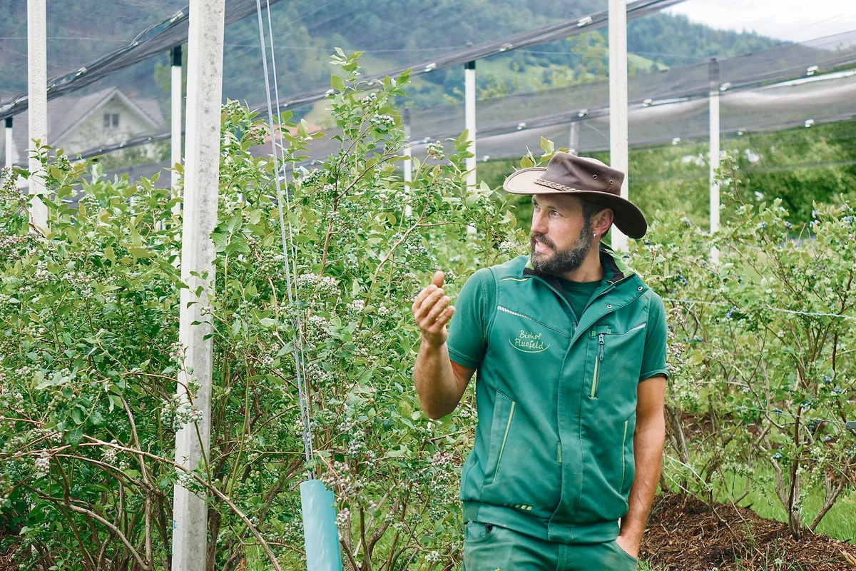 d836c52bf8752ac04c49b01e03323d10daee9a99 Betriebsleiter Michael Reichmuth berichtete an der FiBL-Veranstaltung von seinen Erfahrungen im Biobeerenanbau. (Bild Thierry Suard)
