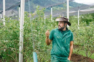 Betriebsleiter Michael Reichmuth berichtete an der FiBL-Veranstaltung von seinen Erfahrungen im Biobeerenanbau. (Bild Thierry Suard)