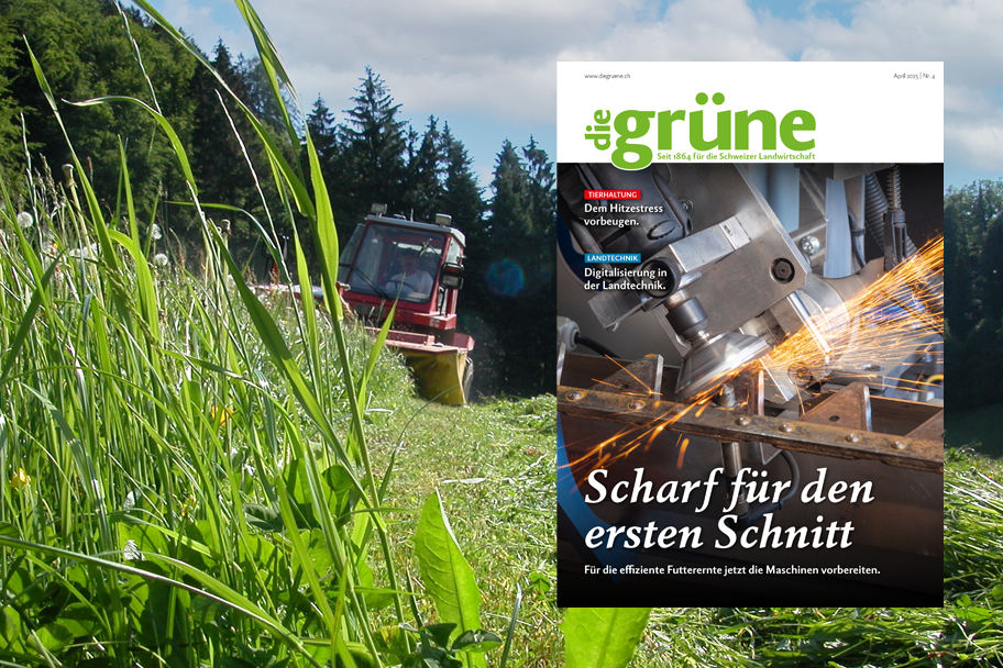 «die grüne» im April 2025 – Scharf für den ersten Schnitt