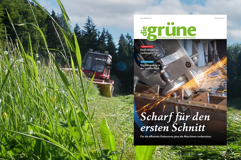 «die grüne» im April 2025 – Scharf für den ersten Schnitt