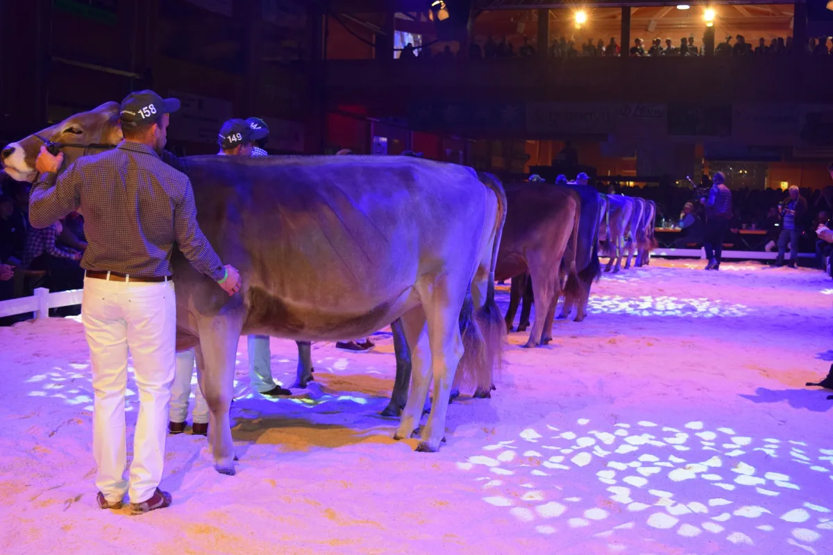 gp_sargans2019_finale Jubiläumsschau in Sargans findet statt