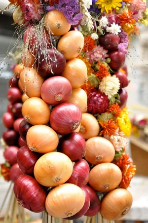 In Biel können sie also am Zibelemärit gekauft werden, die beliebten Zibelezöpfe, Trütsche genannt. (Bild: Fotolia)