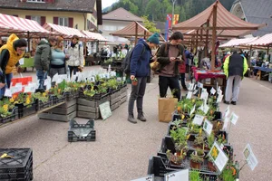 Rund 4000 Besucherinnen und Besucher kamen an den Jubiläumsmarkt.