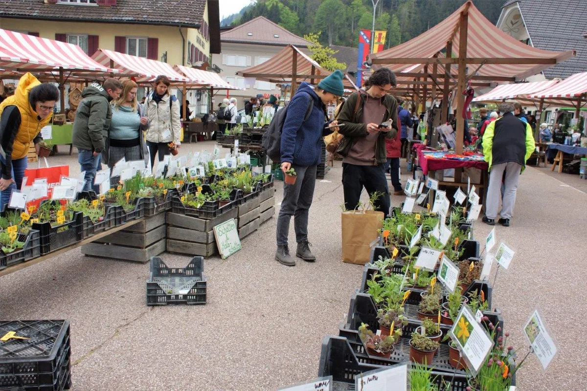348618422_599221192175590_1085819633828432878_n Jedem sein Kraut am Kräuter- und Wildpflanzenmarkt der Biosphäre Entlebuch