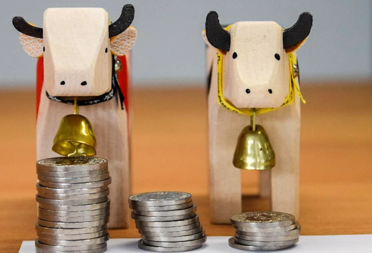 Die Beratungen zeigten, dass die Auswirkungen von grossen Investitionen auf die Altersvorsorge vielen Betriebsleiterinnen und Betriebsleiter nicht bewusst ist. (Bild hja)
