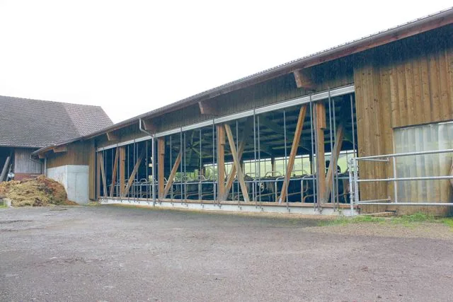 56d0d4658779407a71a8cfcf034b098801aa2ce1 Auf dem Betrieb von Peter Schlauri in Gossau ist für eine gute Querlüftung gesorgt. Ein fortwährend laufender Deckenventilator regt dabei zusätzlich die Luftzirkulation im Stall an. (Bilder Curdin à Porta)