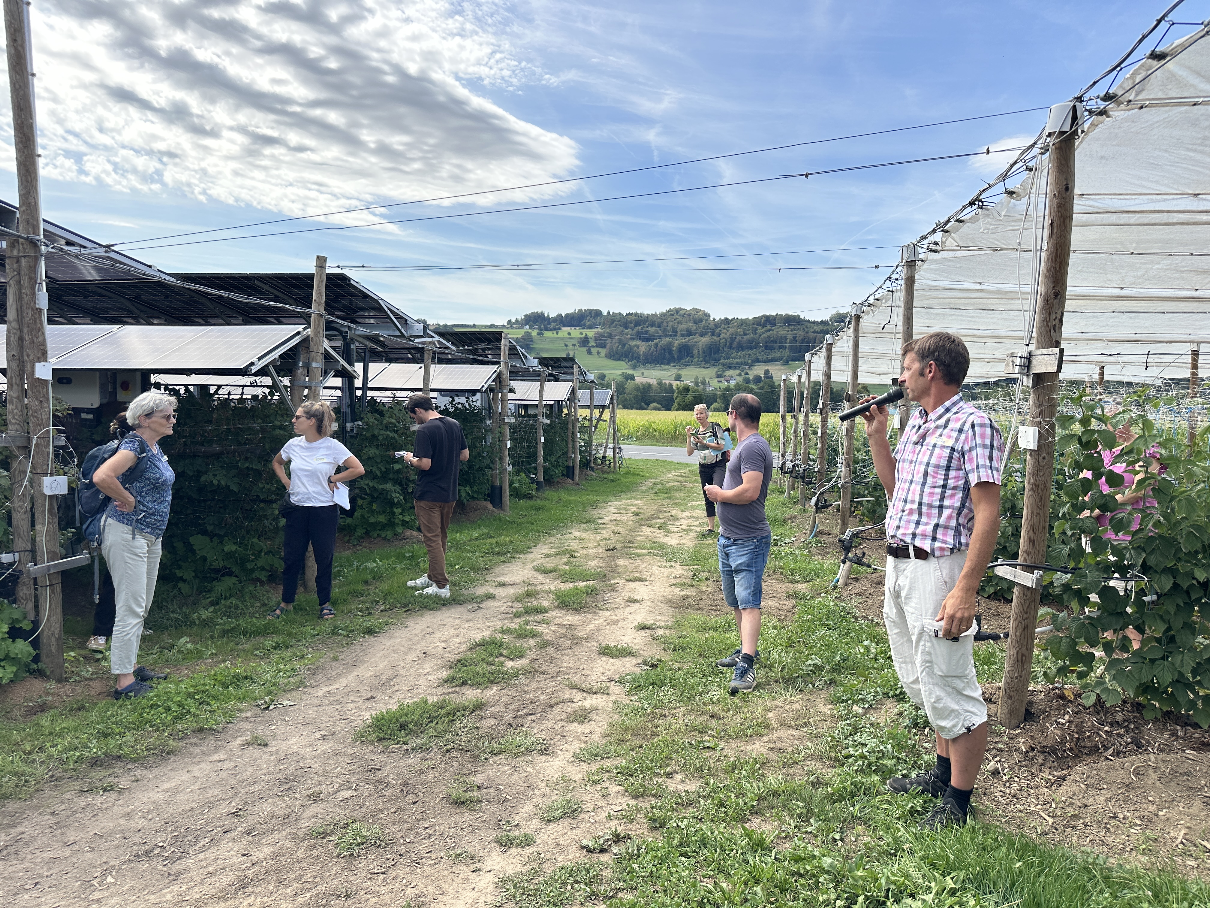 Heinz Schmid stellt die drei Agri-PV Systeme (links jenes von Megasol) vor. Rechts die Kontrollparzelle, die allerdings dieses Jahr auch beschattet werden musste.
