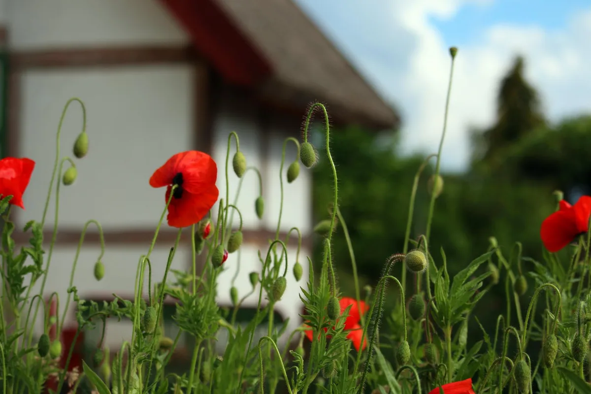 Hof_mohn Kritik am Verordnungspaket 2026: Von falscher Berechnung und drohendem Wettbewerbsnachteil