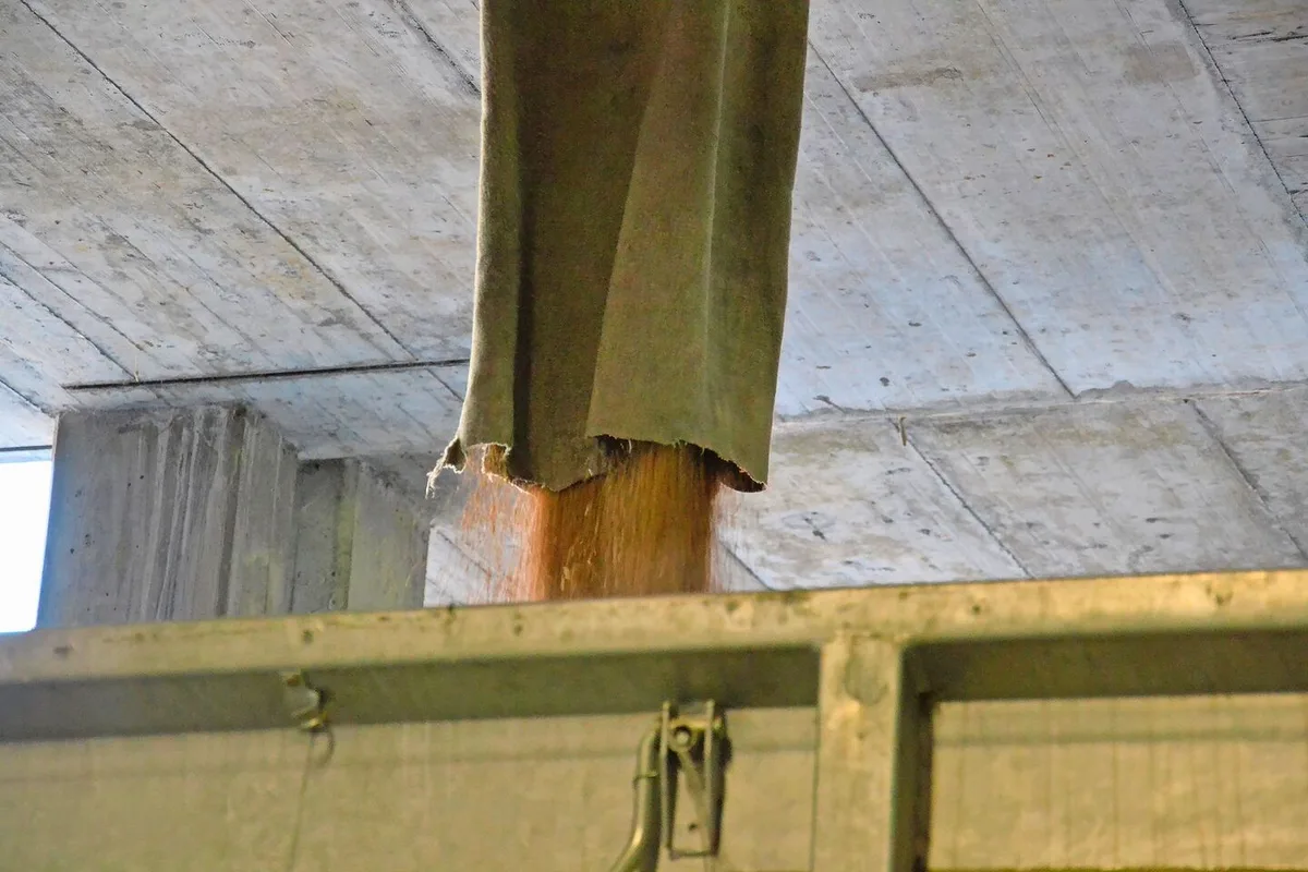 e26547f45c4eef6f7226108b6eed85cf670c5f8ae731f19a1ed6e8dc71b0877f Sammelstellen können selbst oder gebündelt via Fenaco vermarkten.
