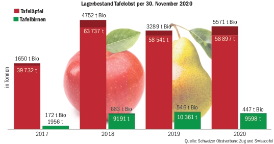 Die Lagerbestände bei den Tafeläpfeln und -birnen sind per 30.11.2020 marktkonform. Je nach Lagerhöhe sind die Richtpreise leicht gestiegen oder leicht gesunken.(Grafik BauZ)