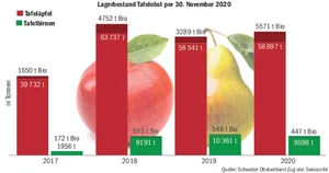 Die Lagerbestände bei den Tafeläpfeln und -birnen sind per 30.11.2020 marktkonform. Je nach Lagerhöhe sind die Richtpreise leicht gestiegen oder leicht gesunken.(Grafik BauZ)
