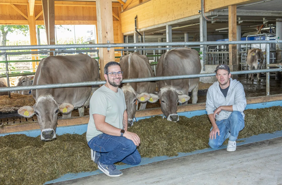 Neuer Stall mit viel Automatik und hohem Kuhkomfort