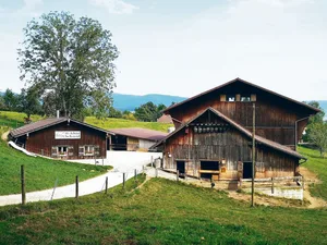 Neu gestartet auf bestens bekanntem Terrain: Francesco De Benedetto fühlt sich daheim auf dem heimeligen, urchigen Bauernhof Hofchäsi Schmid in Gretzenbach.