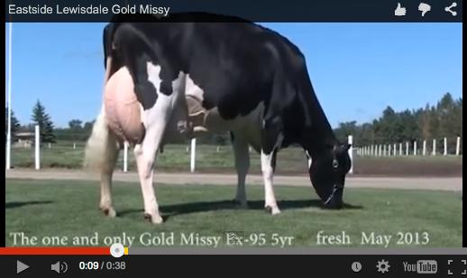 «Missy» macht auch im Youtube-Porträt eine gute Figur. Unten finden Sie das Video. (Bild Screenshot)