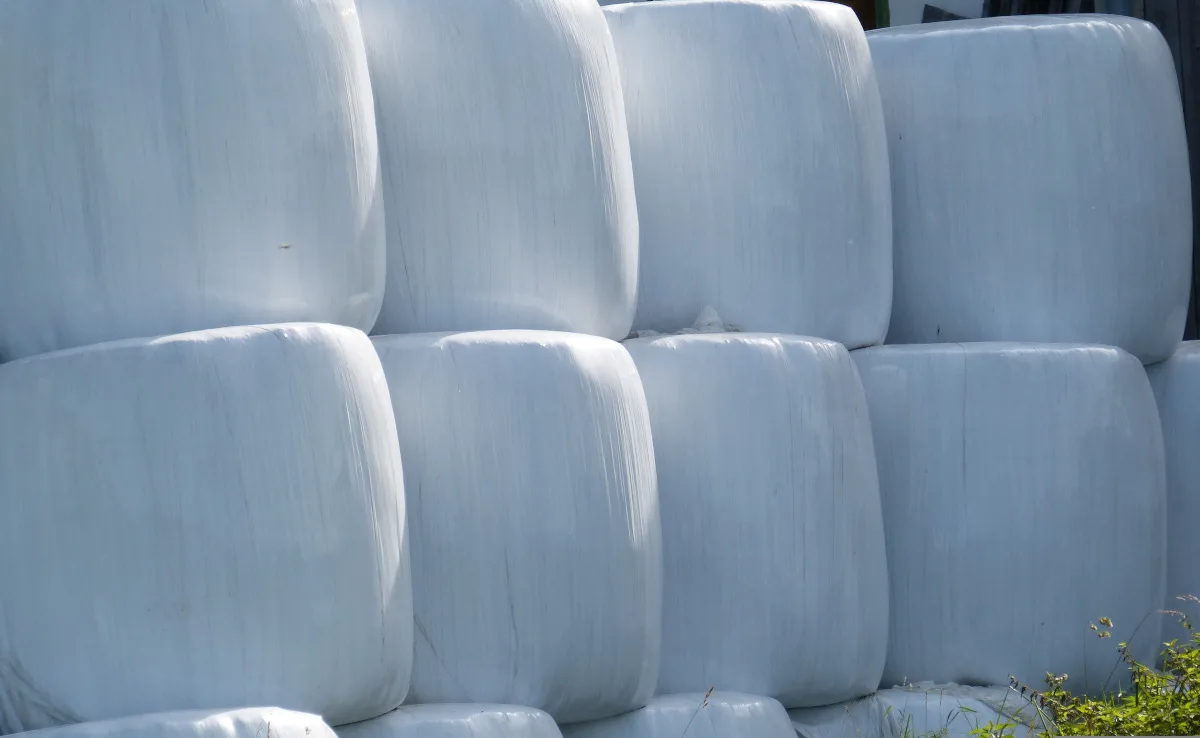 silo-bales-460356__1_ Wohin mit gebrauchten Silofolien und Netzen?