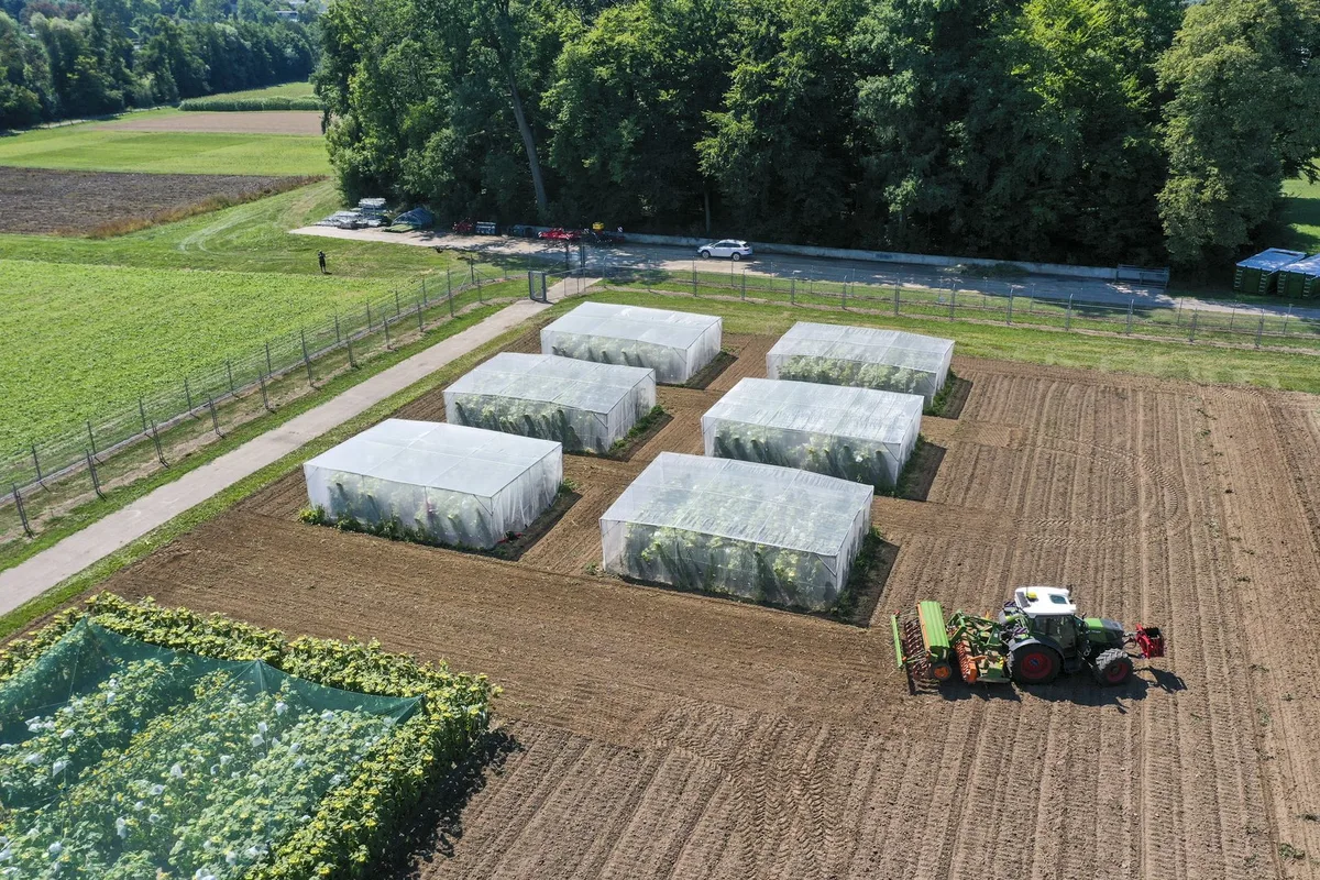 NZT_1 10-Millionen-Franken-Projekt zu moderner «Gentechnik» weckt Widerstand