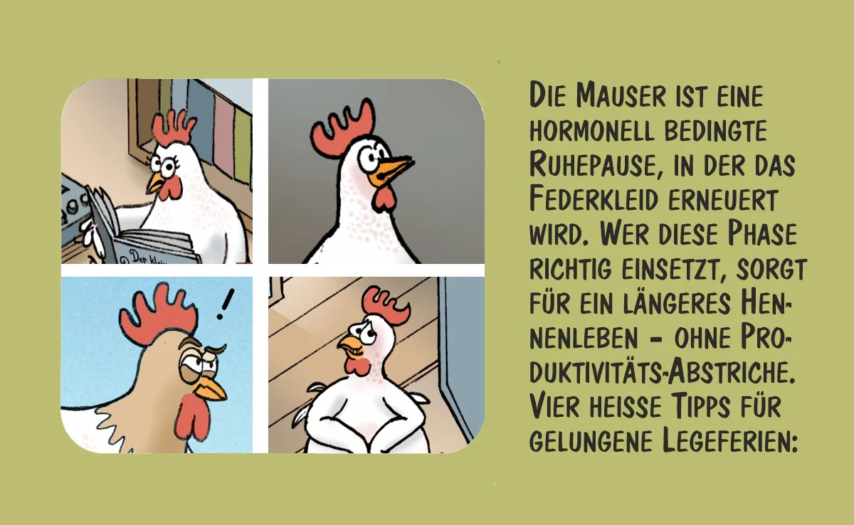Cartoon von Marco Ratschiller/Karma: Mauser für längeres Hennenleben
