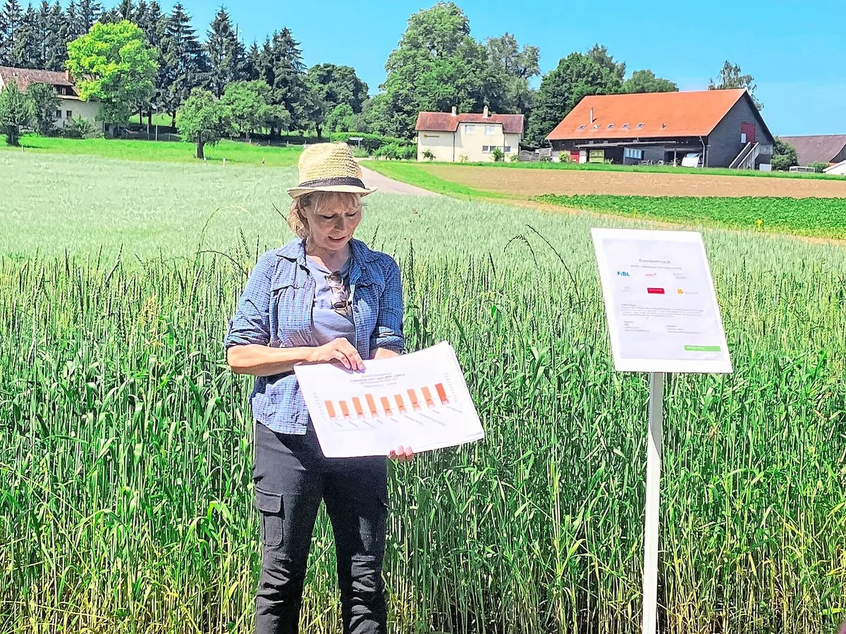 Katrin Carrel empfiehlt interessierten Dinkelproduzent(innen), schon vor der Aussaat einen Marktpartner zu suchen.