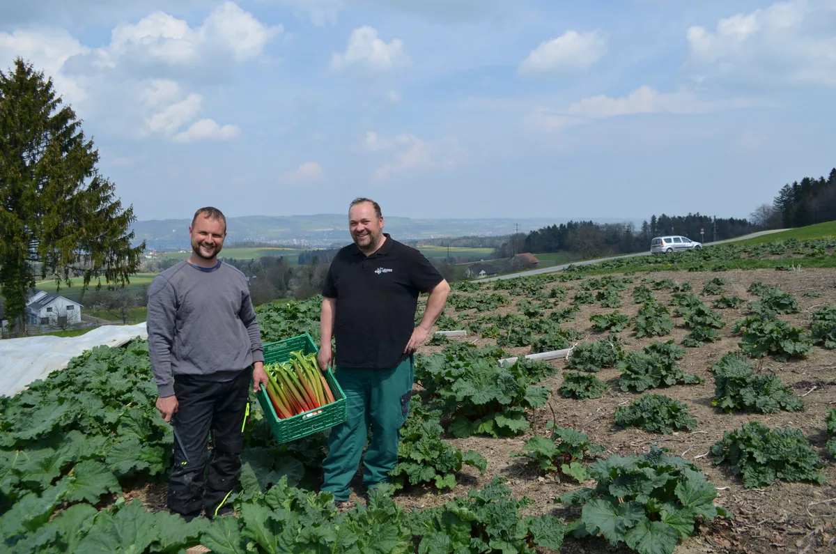 2e627f3f82e5be6f2d9e1c89883a025b059c5df1 Stefan Füglister und Thomas Lehner im Rhabarberfeld (Bilder Daniel Thür)