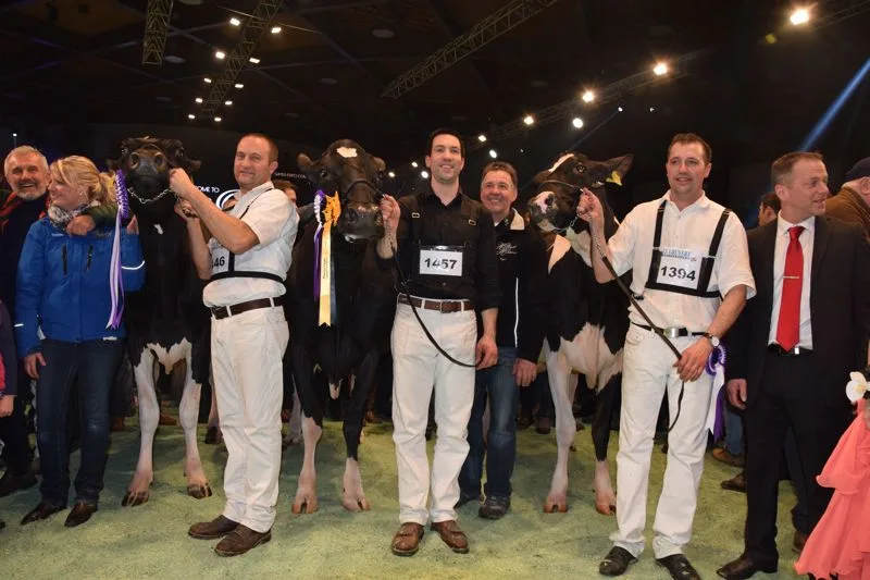83223ae16400c5624f248299ccf722e78a1840f5 Grand Champion (links): Atwood Galys Vray, Marc und Erhard Junker, Staub/Al.Be.Ro, Iffwil. Reserve Grand Champion (Mitte): Hellender Goldwyn Glinnia, Anton, Thomas und Andreas Ender, Kallern. Mention Honorable (rechts): DH Gold Chip Darling, Roger Frossard, Les Pommerats. (Bilder Fankhauser)
