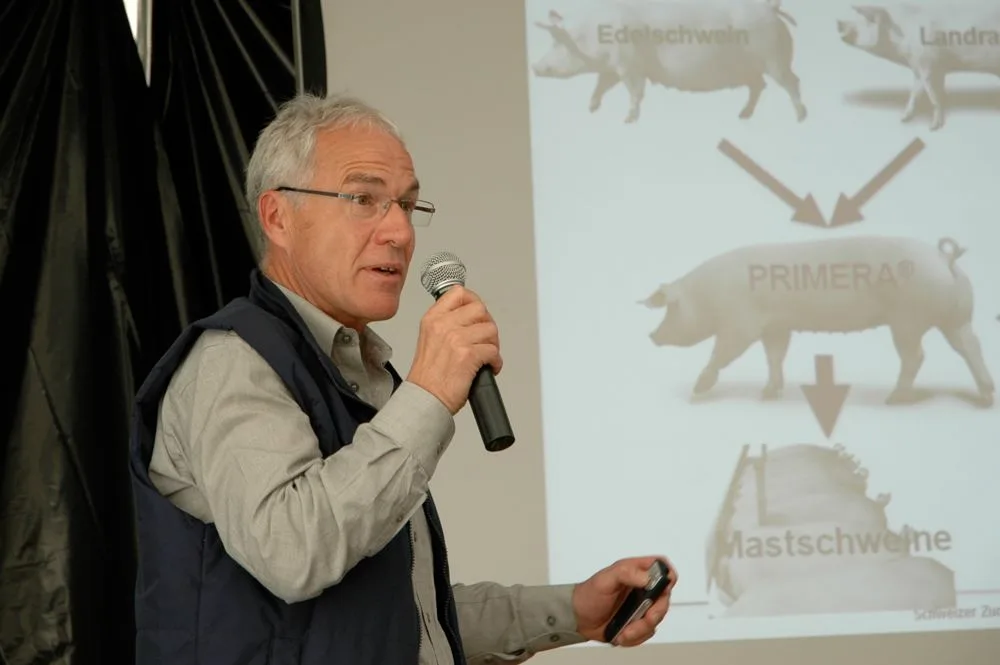 Rund 200 hochwertige Eber kauft Ruedi Gugelmann von den 26 Schweizer Eberzüchtern jährlich für die beiden Suisag-KB-Stationen. (Bild: Armin Emmenegger)