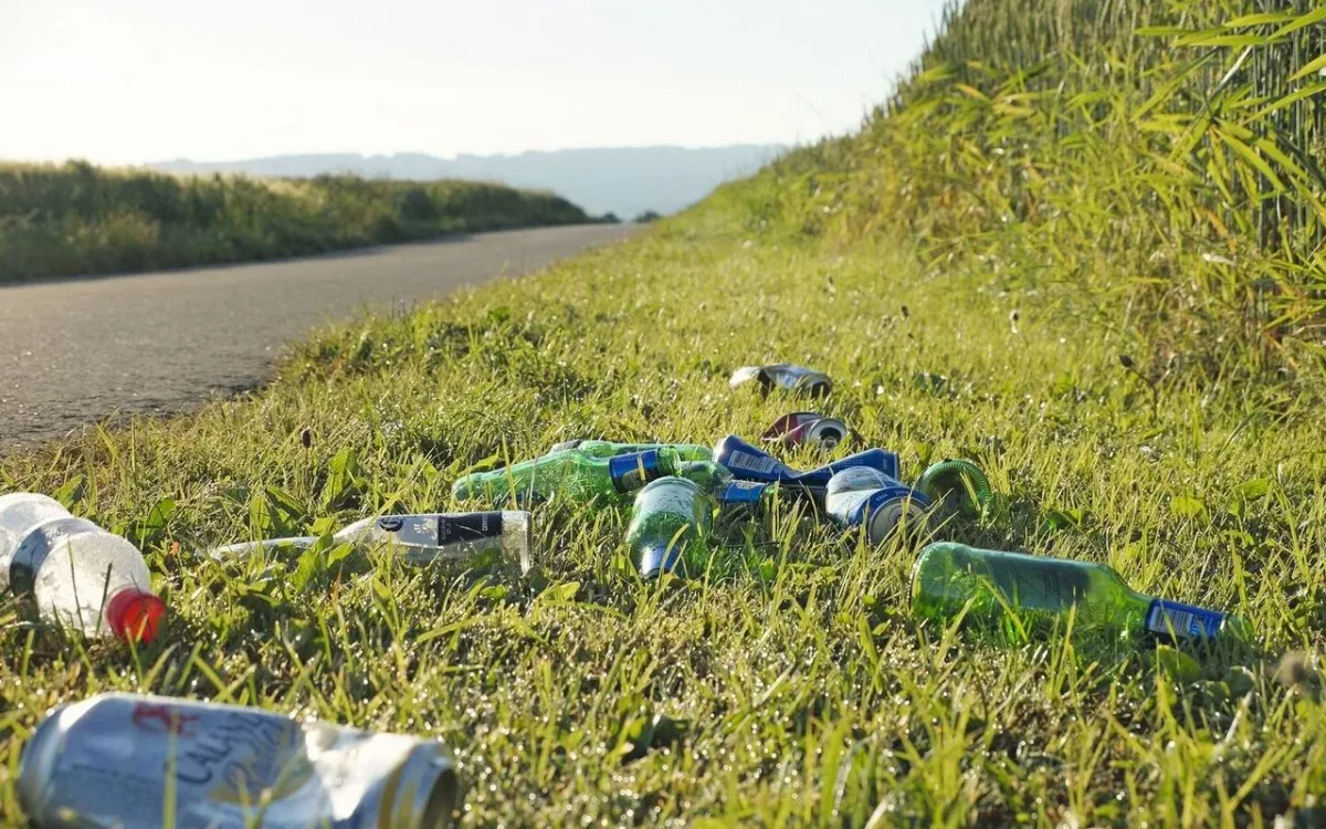 Parlament will schweizweites Littering-Verbot