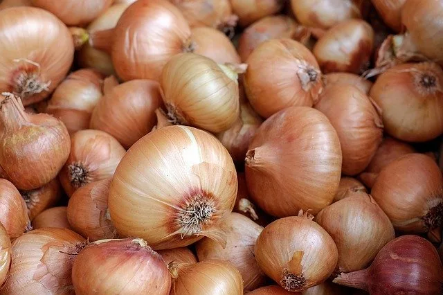 fb2e99e59e63d278789a1e377ec7340d7aa08268 Bei den Zwiebeln müssen eventuell Lagerlücken im Sommer 2020 mit Importen gefüllt werden. (Bild Pixabay)