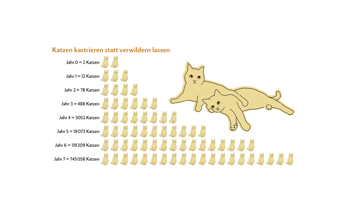 Katzenpopulation Katzenpopulation