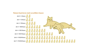 Quelle: Schweizer Tierschutz (STS)