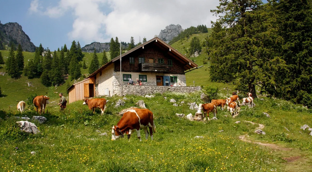 farm-yard-g383e818d0_1920 Uniterre beschliesst Stimmfreigabe zur Volksinitiative gegen Massentierhaltung