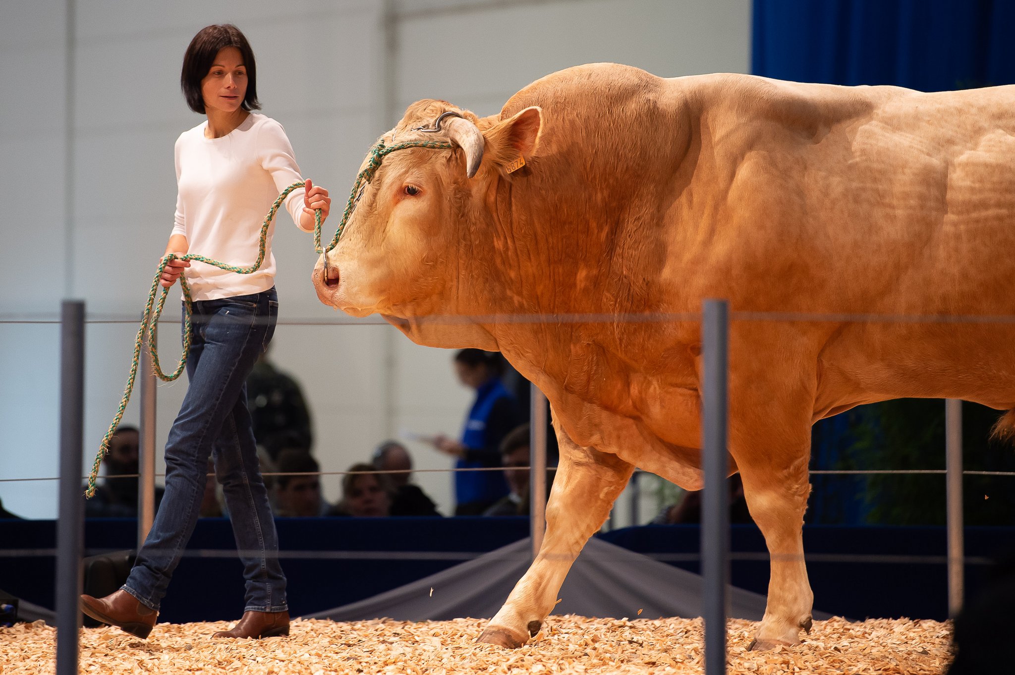Wie sieht die Zukunft im Stall aus?