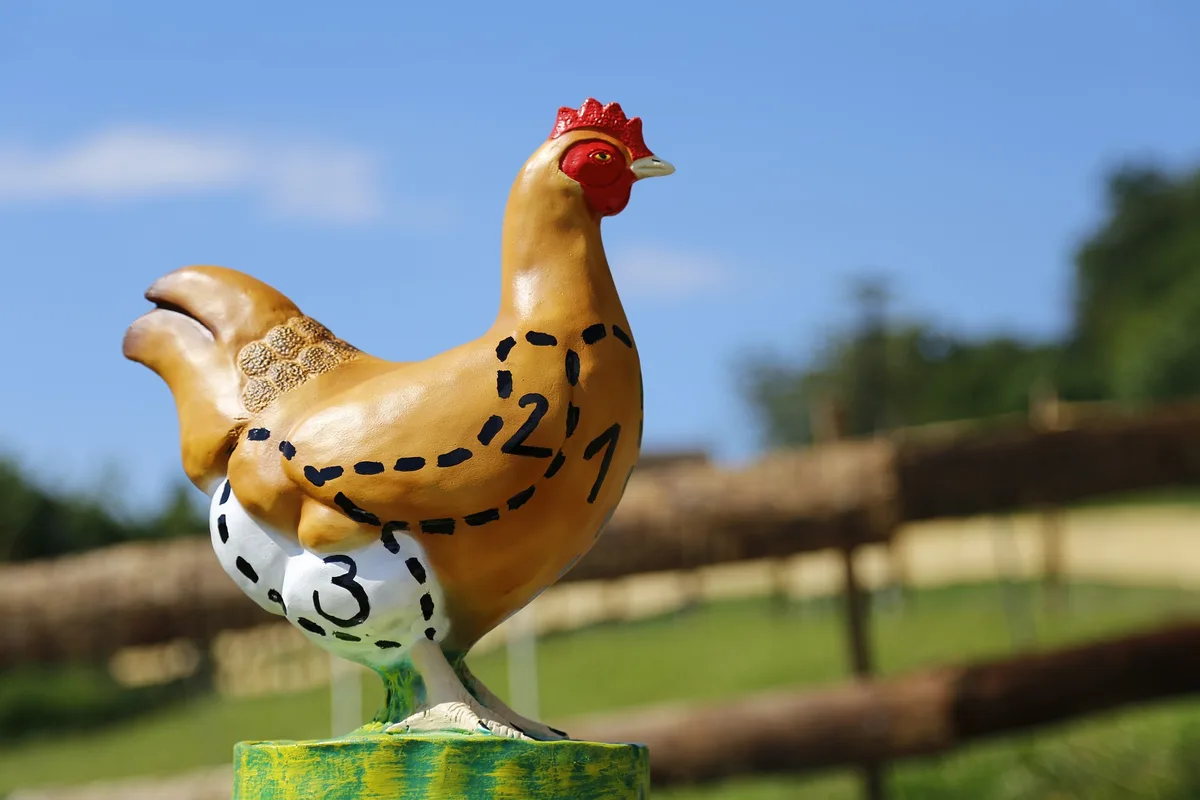 chicken-g71da6896e_1920 Bell sucht neue Geflügelproduzent(inn)en – es sind nun kleinere Ställe möglich