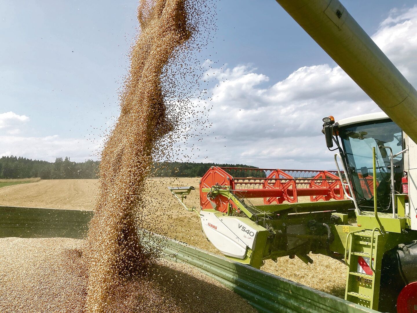 Volle Wagen beim Weizen. Im Jahr 2023 lief es für den einen oder die andere beim Weizen gut. Andere Kulturen schnitten dafür weniger erfreulich ab.