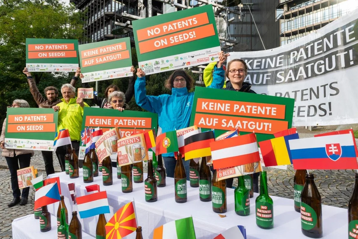 patent-braugerste Carlsberg und Heineken krebsen im Saatgut-Patentstreit zurück