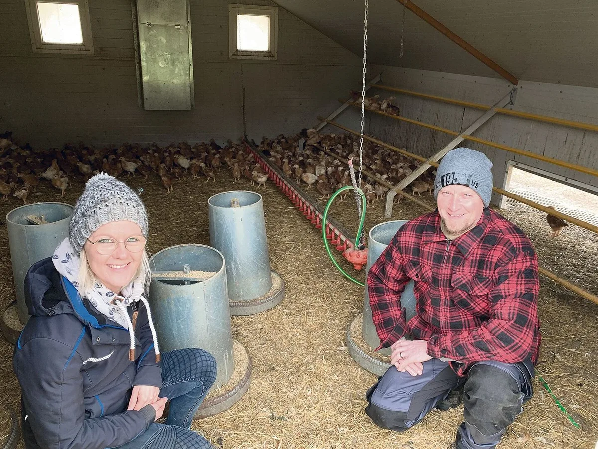 20fc8656d773d0da9c5930152cea34dd5097f761a5152c4169bd93433bb79ba8 Die vier Wochen alten Poulets wurden von Othmar und Barbara Brun erst vor wenigen Tagen vom Aufzuchtstall in die mobilen Hütten gezügelt.