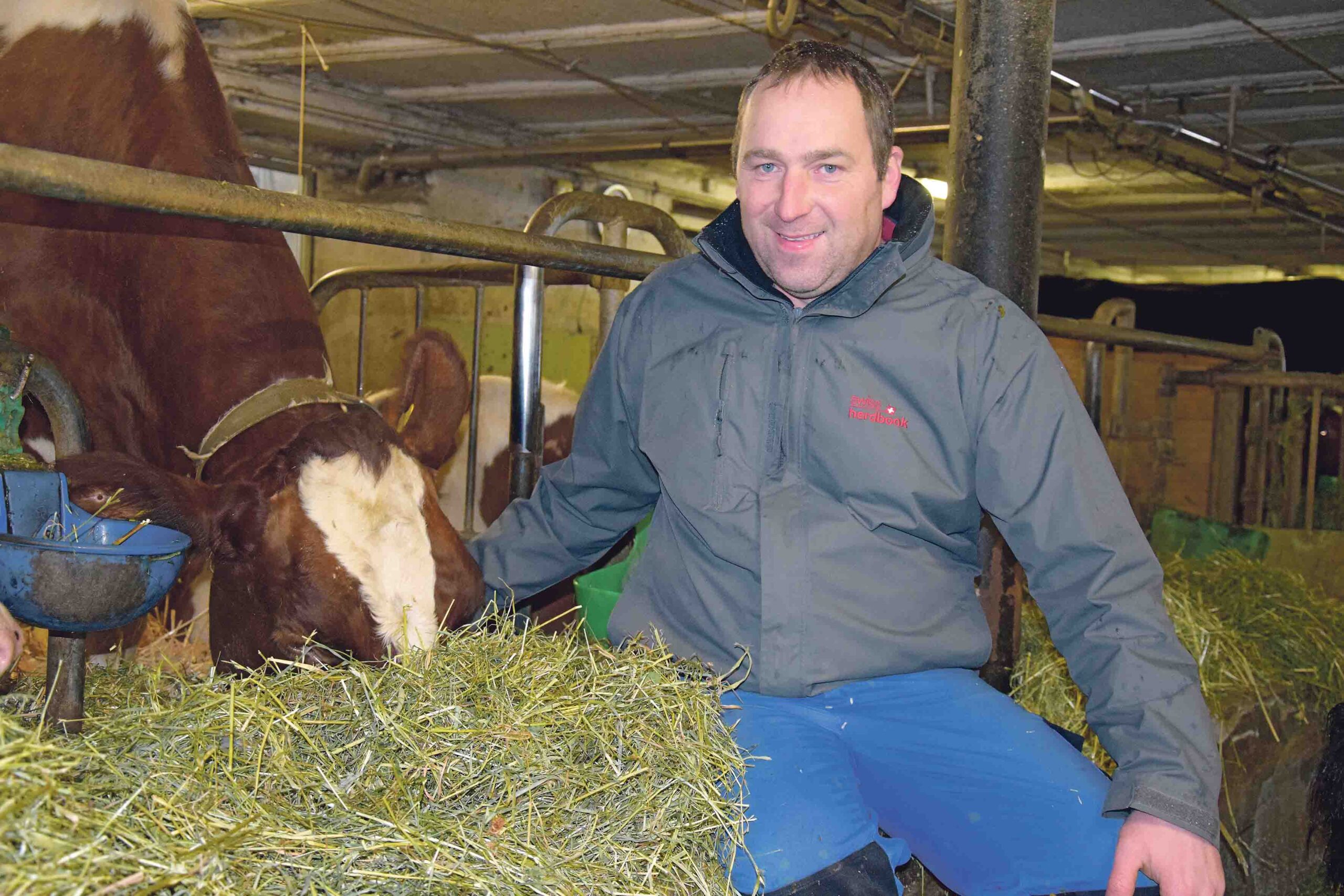 Markus Gerber setzt in seinem Stall mehrheitlich auf Red Holstein. Hier mit der Espoir-Tochter La Béroie Gardena EX-93. (Bild Peter Fankhauser)