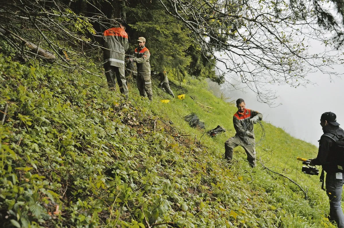84646fe481c489194a7988c813ab4facfbbe601d Die Zivilschutzorganisation Toggenburg entfernt auf der «Stämisegg» bei Wattwil 2,5 bis 3 Kilometer Stacheldraht.(Bild Alexandra Stückelberger)