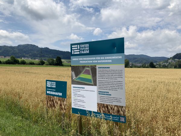 Die Swiss Future Farm nimmt den Haferanbau unter der Lupe