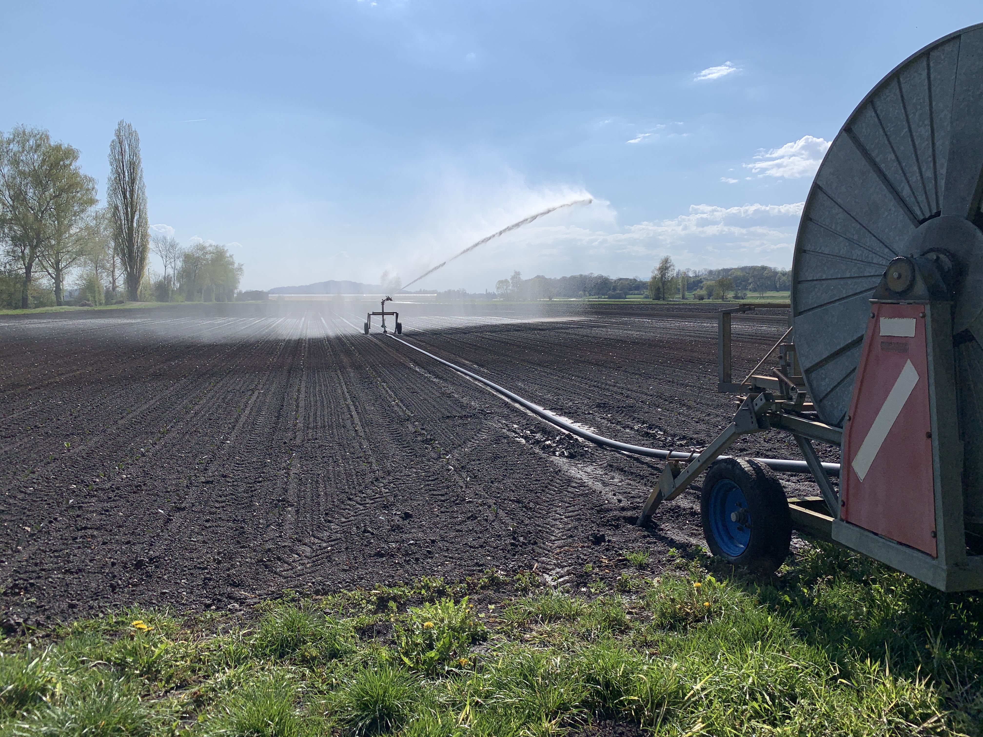 Bewässerung wird aufgrund vermehrter Phasen mit Trockenheit, für viele landwirtschaftliche Kulturen immer wichtiger.