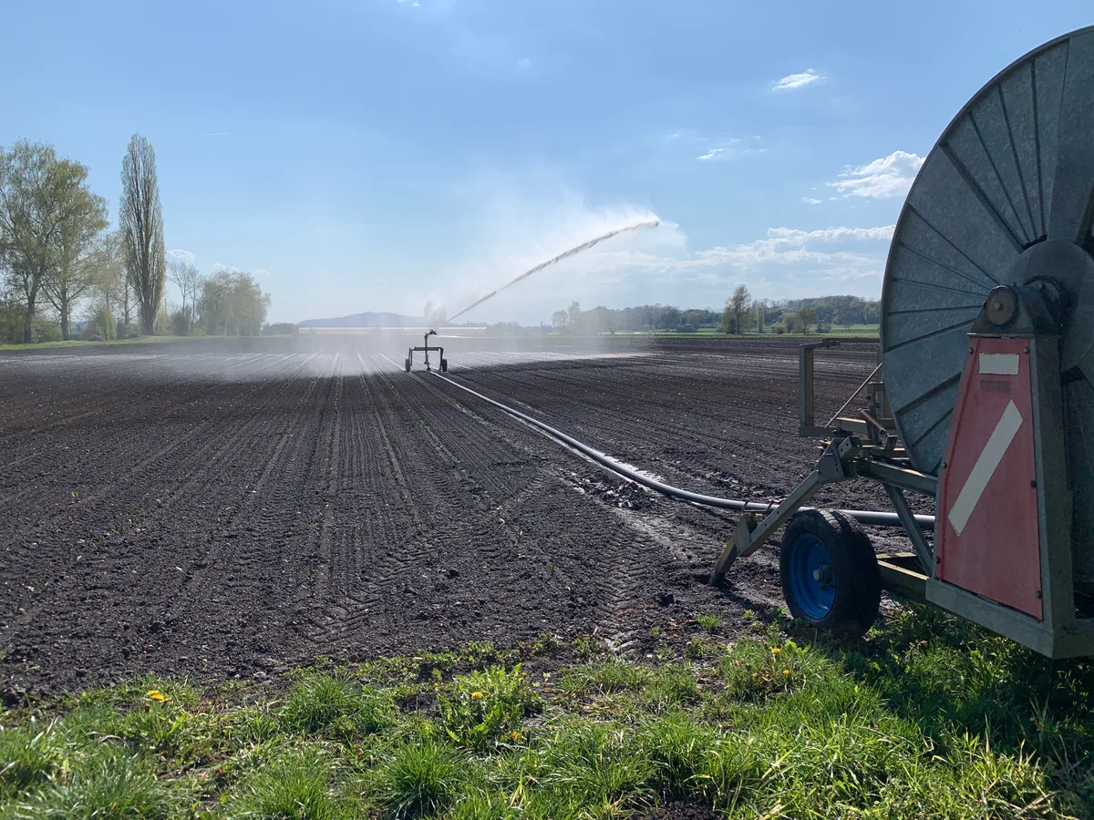 Bewässerung mit Haspel.jpg Bewässerung wird aufgrund vermehrter Phasen mit Trockenheit, für viele landwirtschaftliche Kulturen immer wichtiger.