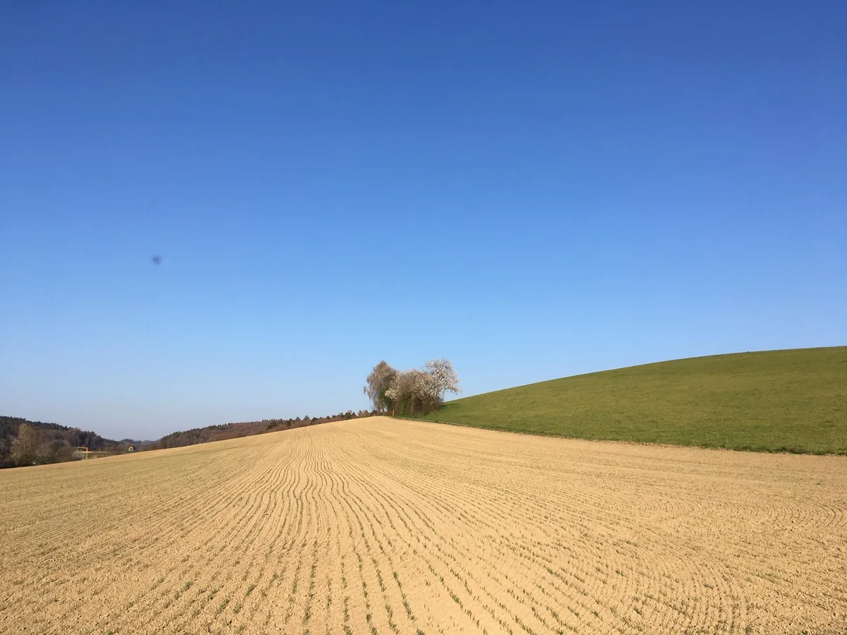 ec1657645e053a4c82ec8910cc5096eb3d3e5b75 Von der AP 22+ fordert die Sals auch geeignete Lösungen für den Umgang mit den Risiken des Klimawandels, etwa ungleich verteilten Regenmengen. (Bild jsc)