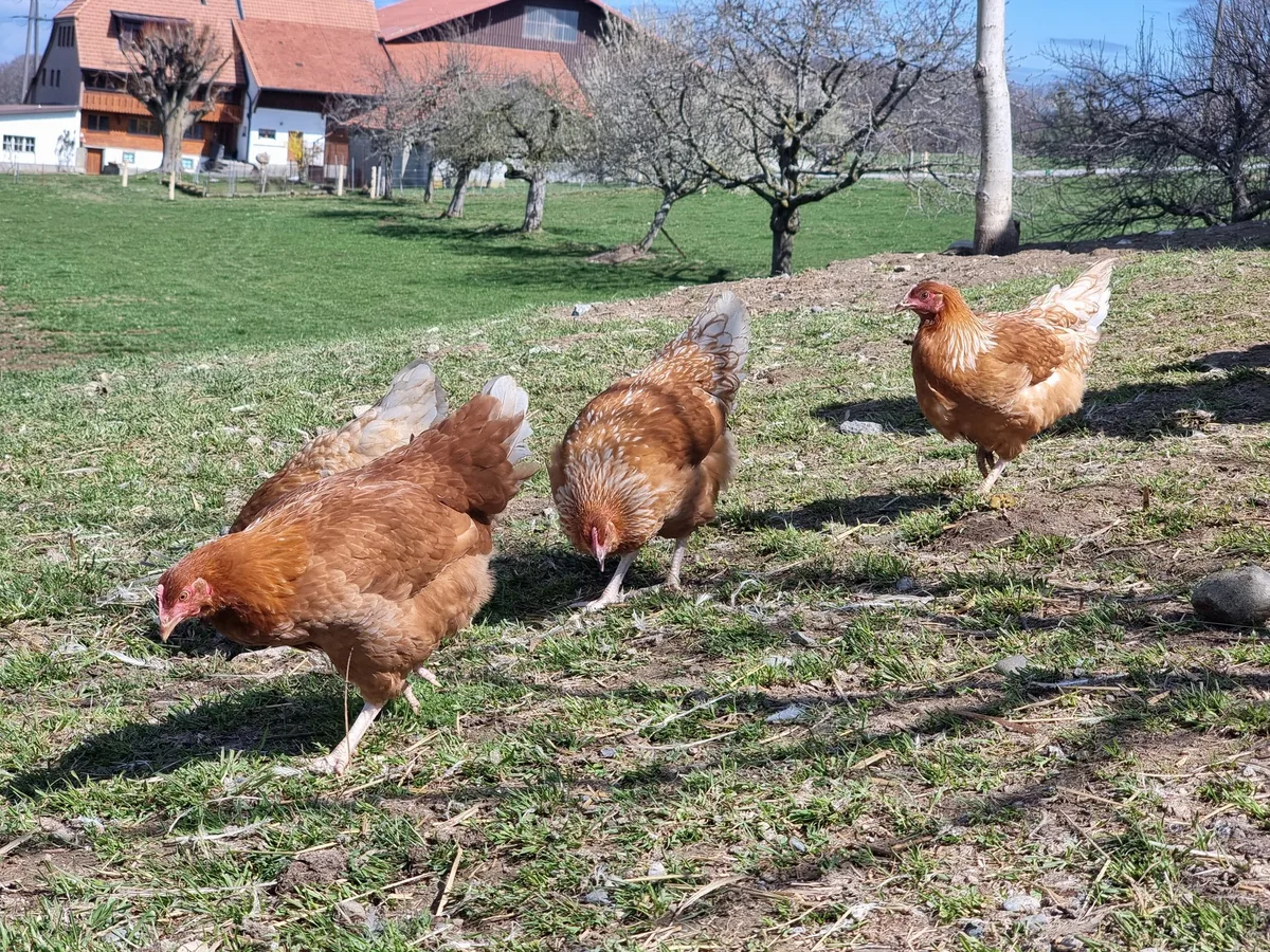 20220406_121440 Der Bio-Umsatz knackt die 4 Milliarden-Grenze