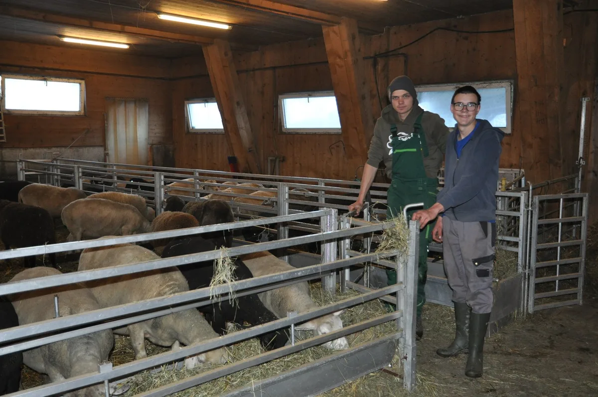 vdD Betriebsübernahme direkt nach dem Lehrabschluss: Emil Jud ist Landwirt, Älpler und Bullyfahrer