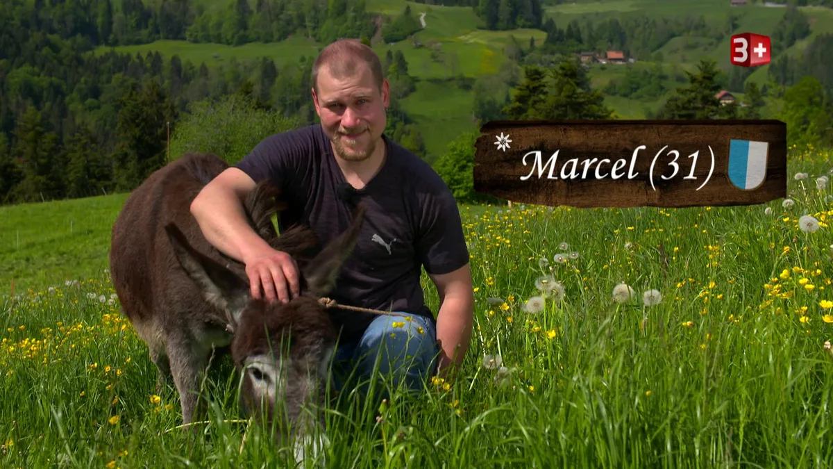16e9e0a08add22ba35c4ea8cf52be851e6d46334 Marcel hat sein Hobby zum Beruf gemacht. (Bilder 3+)