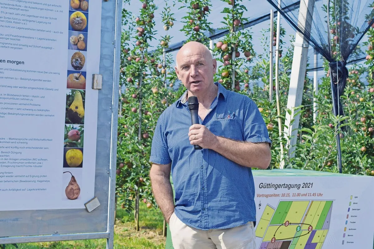 0a1cb84b15f97cfe7a1e9819843ec7ffee74a80e0731c1ddd55411fbc2489c6a Lagerkrankheiten beschäftigen vordergründig die Händler. Die Obstbauern können aber einiges tun, um das Risiko zu senken, sagt Werner Stuber von der Tobi Seeobst AG.