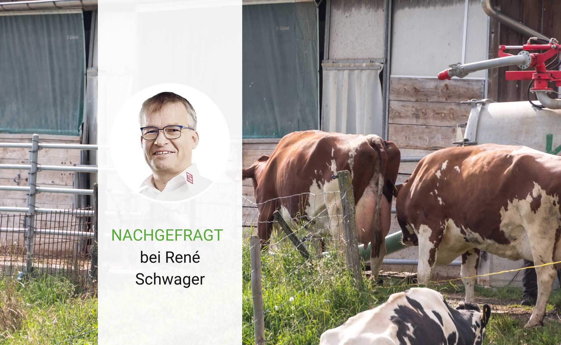 Mooh ist die letzte Produzentenorganisation der Schweiz