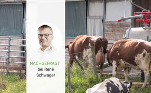 Nur eine echte Produzentenorganisation habe Alternativen im Verkauf und könne die Produzent(innen) wirklich vertreten, ist René Schwager überzeugt.