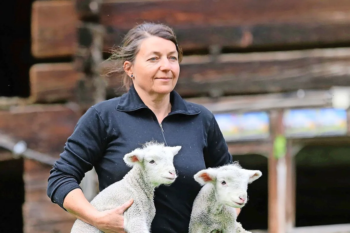 Schon seit ihrer Schulzeit ist Brigitte Fässler eine leidenschaftliche Schafzüchterin.